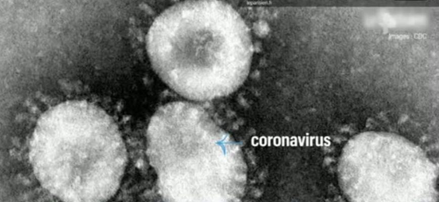 Исследователи определили, какого цвета коронавирус