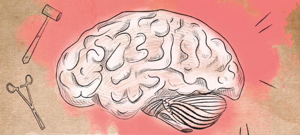 Ученые НИУ ВШЭ с помощью очень чувствительного прибора магнитоэнцефалографа доказали экспериментально: мозг не может идти против большинства