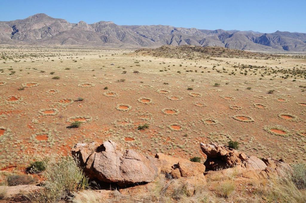 Ученые из Санкт-Петербурга разгадали тайну «ведьминых кругов» в Намибии