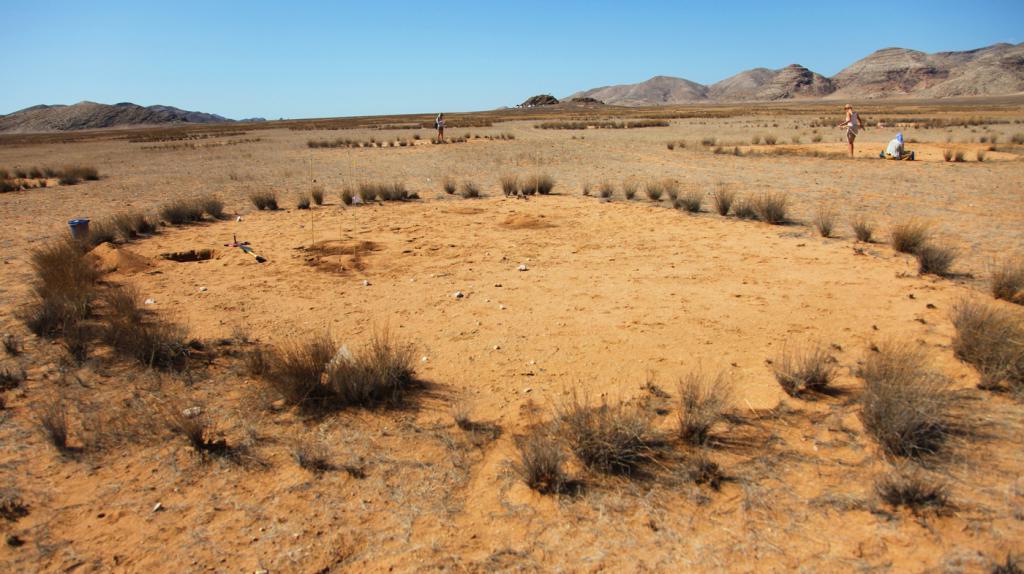 Ученые из Санкт-Петербурга разгадали тайну «ведьминых кругов» в Намибии