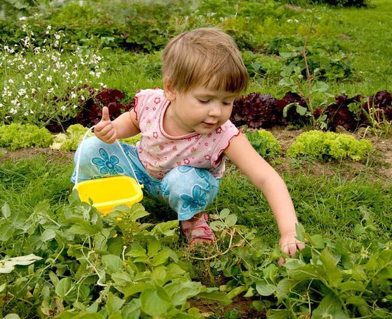 Посадите любимый цветок и купите маленькую лейку: как помочь детям полюбить возиться в саду