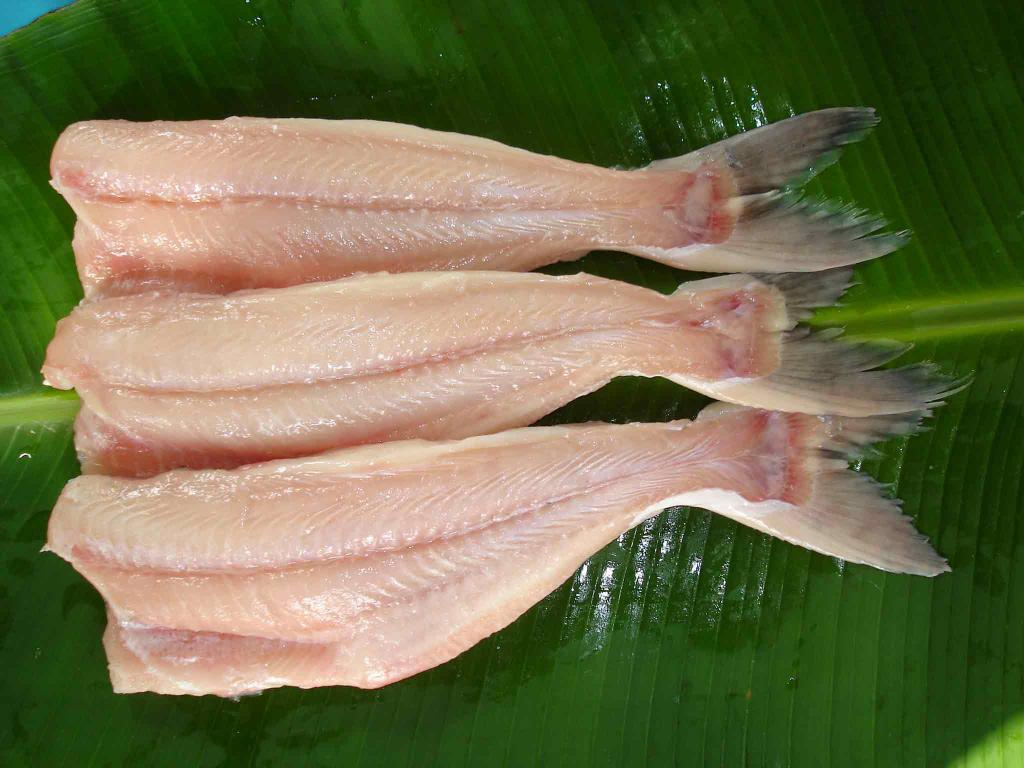Почему нам продают только филе пангасиуса и как эта рыба выглядит целиком (фото)