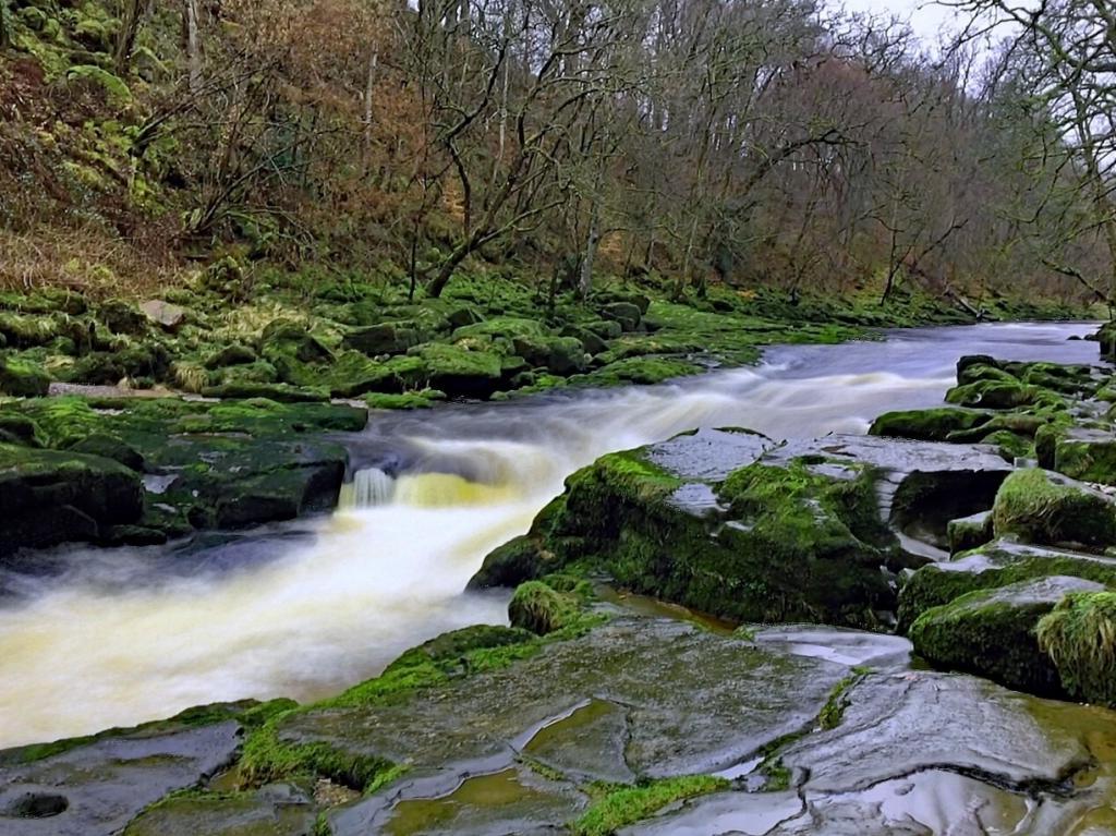 Малоизвестная речка Стрид в Йоркшире была названа самым опасным местом в мире, из-за быстрого течения и множества острых скал