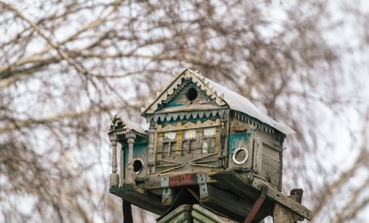 Дедушка построил скворечники, похожие на дворцы: в таких "домах" захотели бы жить не только птицы