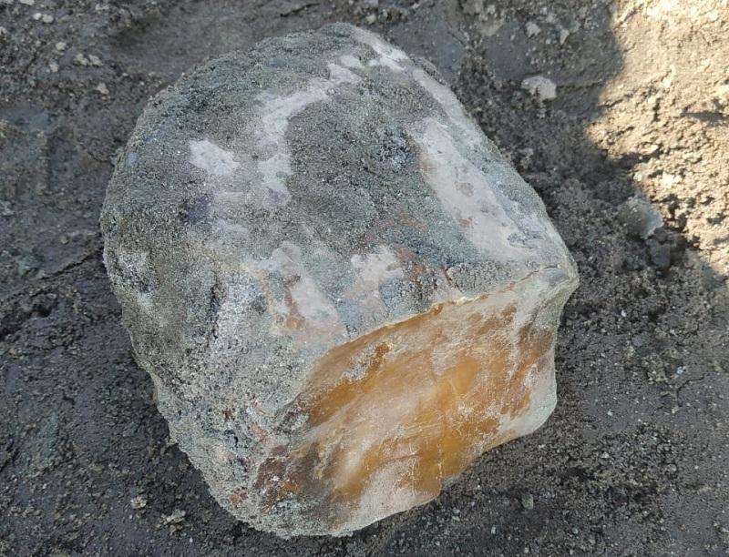 Найденный под Калининградом янтарный самородок весом 1,3 кг назвали «Защитником Отечества»