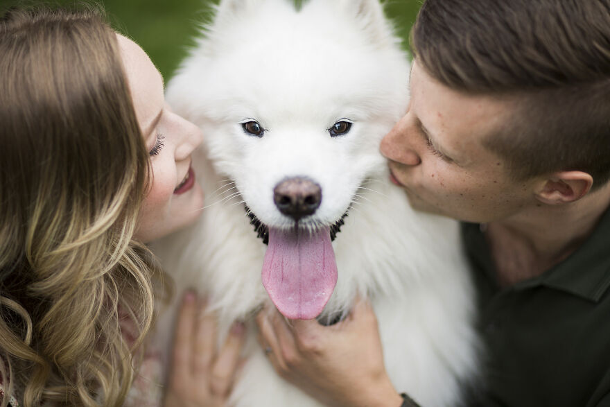 Десять очаровательных собак, которые попали в финал конкурса лучших свадебных фотографий мира