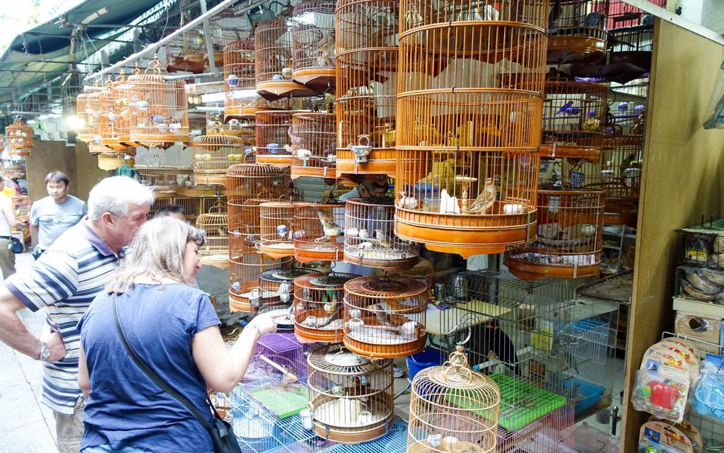 Никаких попугайчиков! В России предложили запретить продажу животных в зоомагазинах и на птичьих рынках