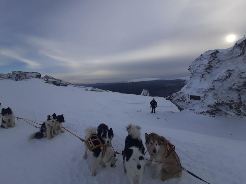 Печально известный перевал Дятлова на собачьих упряжках - так россиянин покорял новую вершину