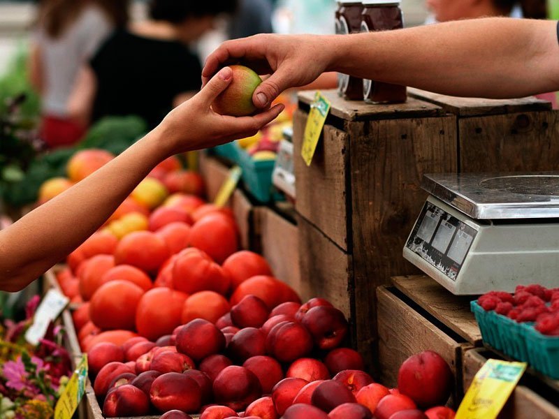 "Эта комбинация дает наибольшую пользу": диетологи определили ежедневную норму овощей и фруктов