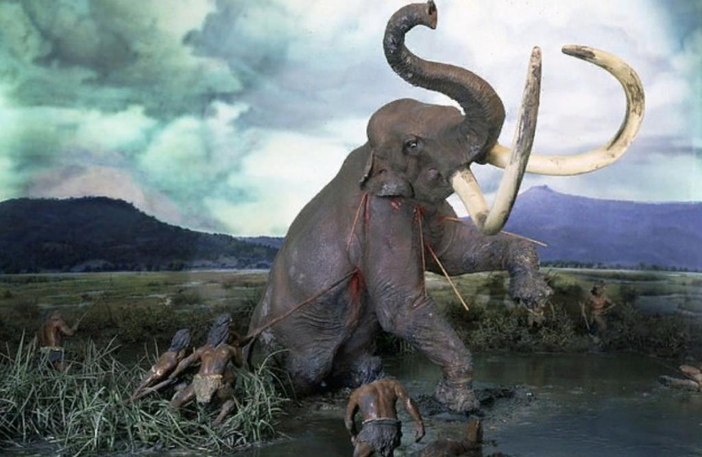 Вымирание крупных животных привело к увеличению размера человеческого мозга около 30 000 лет назад