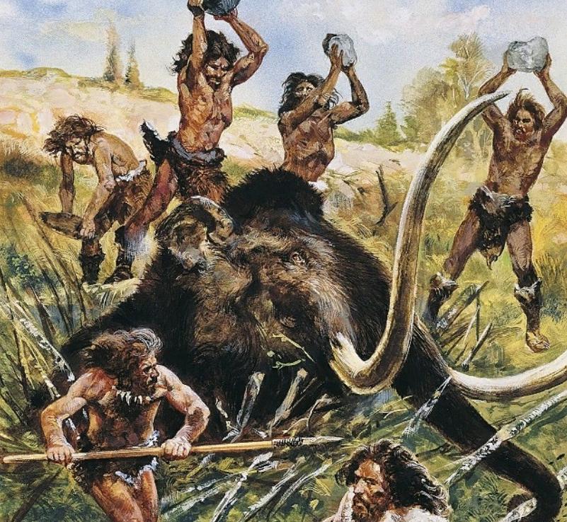 Вымирание крупных животных привело к увеличению размера человеческого мозга около 30 000 лет назад