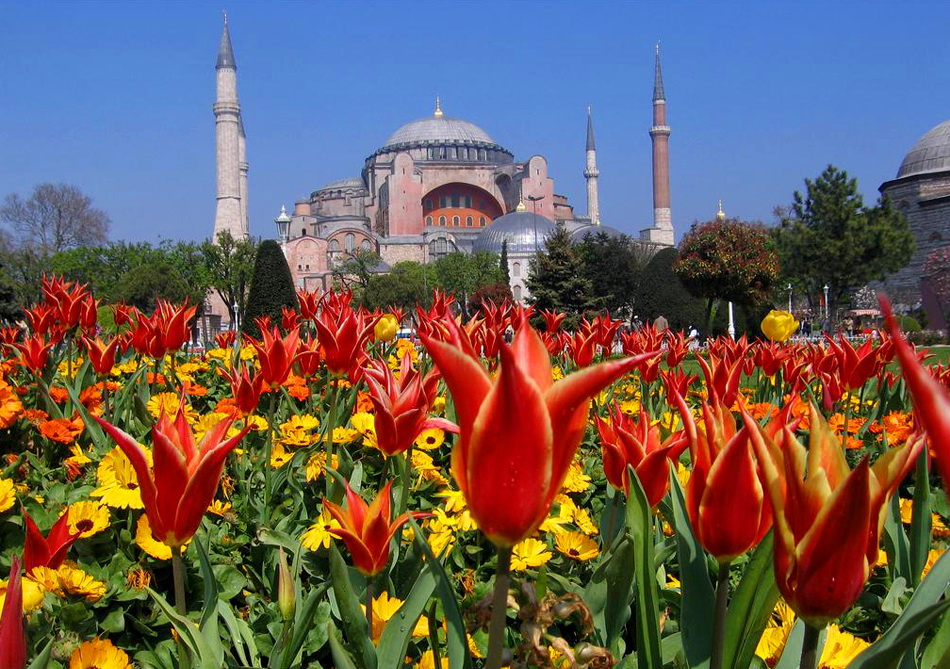 Стамбул, Сочи и Дубай: названы самые популярные у россиян направления для путешествий весной
