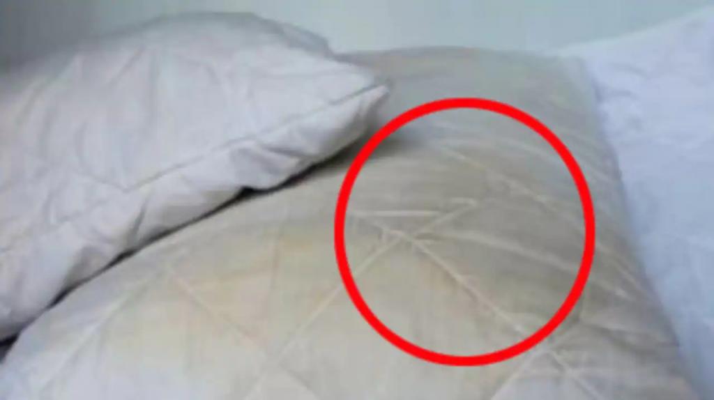 Доктор Каран Радж объяснил, почему подушки нужно менять не реже, чем раз в 2 года