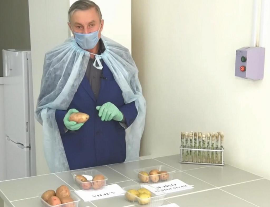 Крымские оливки и сибирская картошка: какие продукты разработали российские ученые в рамках специального проекта