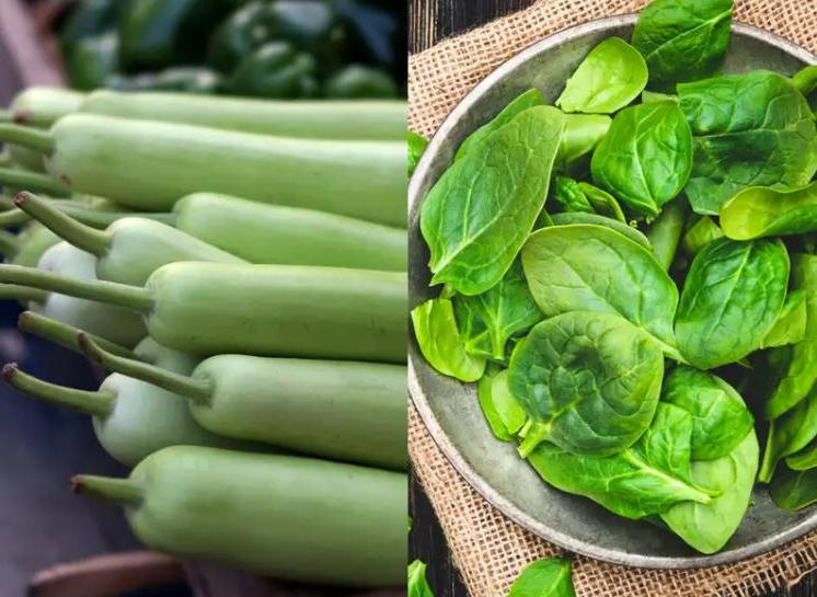Что же для нас полезнее: зелень или зеленые овощи? В каком количестве их стоит употреблять