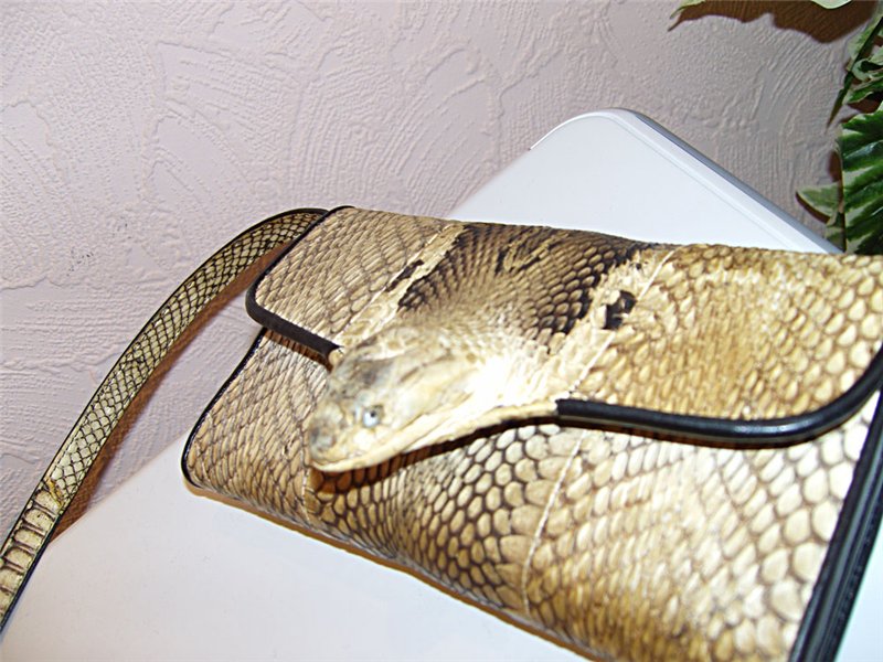 Змеиная кожа вдохновила ученых на создание нового материала, снижающего трение