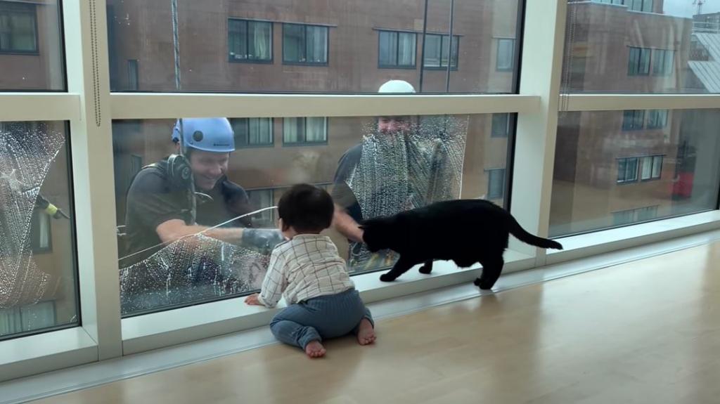 Дяди "на качелях": малышка и кот наблюдают, как верхолазы моют окна (видео)