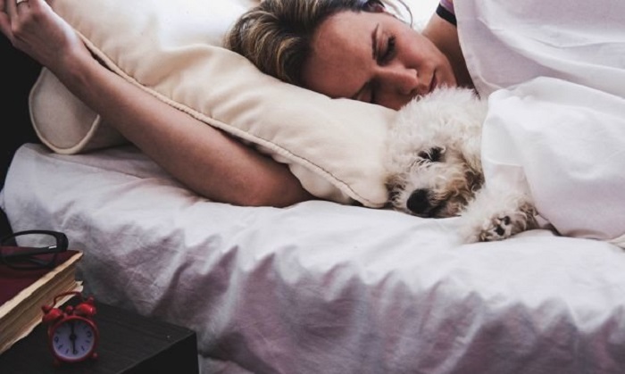 Стоит ли разрешать собаке спать рядом: каждый случай индивидуален, но есть ситуации, когда этого лучше не делать