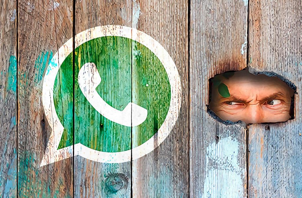 Никаких секретов по WhatsApp: россиян предупредили о возможной американской слежке из-за новых правил приложения