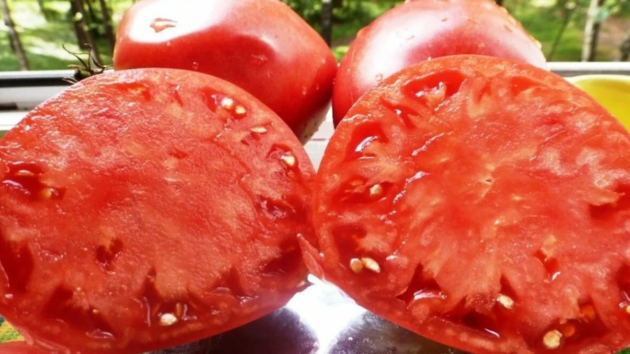 Клубника, нектарины, томаты: продукты с наибольшим и наименьшим содержанием пестицидов