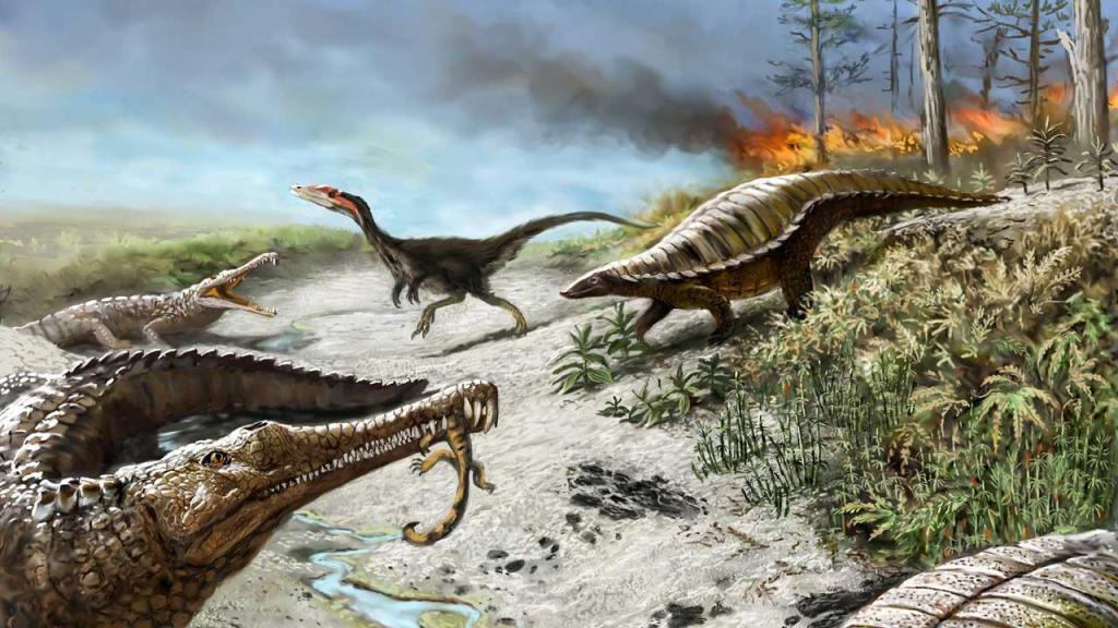 Крокодилы пережили удары астероидов, которые стали причиной гибели динозавров. Все дело в быстрой эволюции