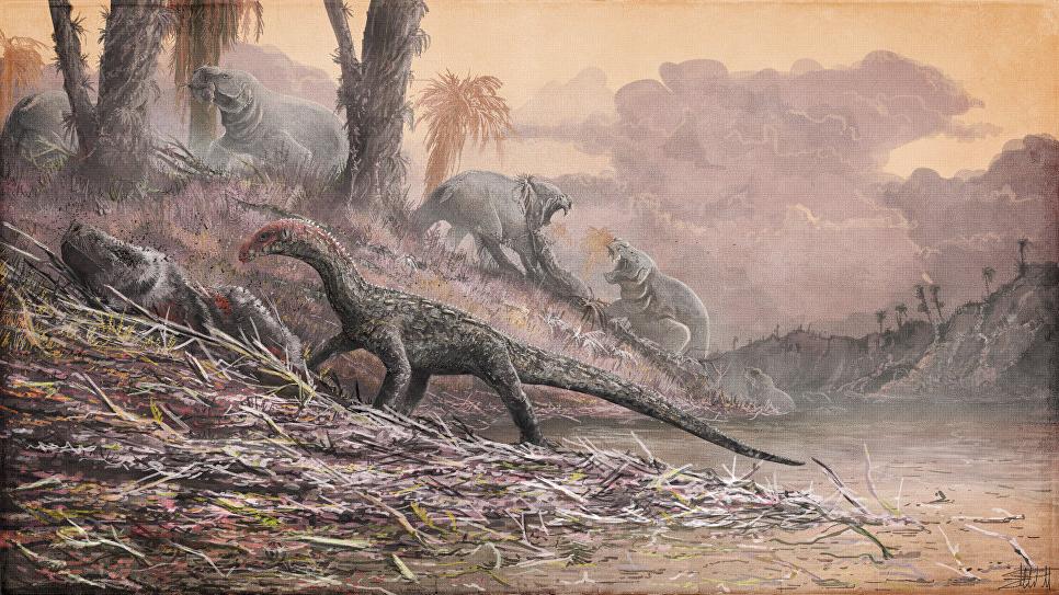 Крокодилы пережили удары астероидов, которые стали причиной гибели динозавров. Все дело в быстрой эволюции