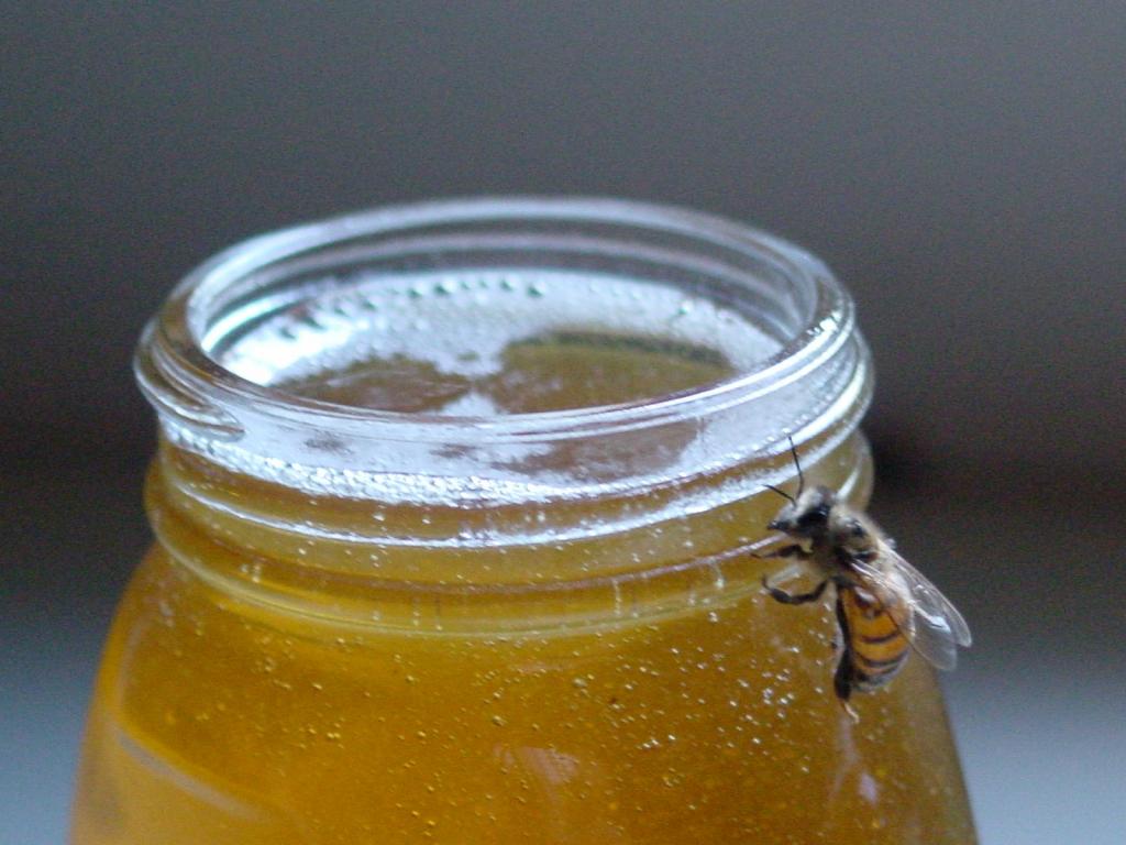 Замораживаем или смешиваем с кипятком: диетолог рассказал об ошибках при использовании меда
