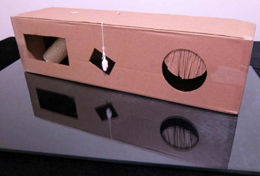 Как из картонной коробки сделать кошачий домик с игрушками и когтеточкой: недорогой и очень уютный