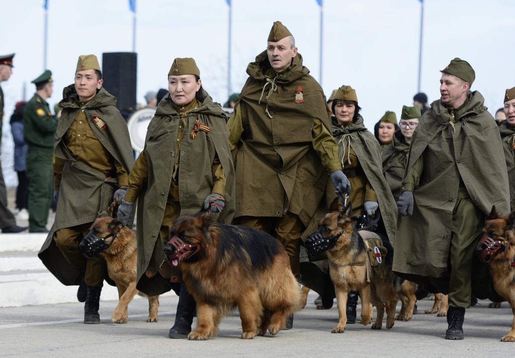 На параде - только безопасные собаки: перед Днем Победы в Петербурге четвероногих привьют от коронавируса