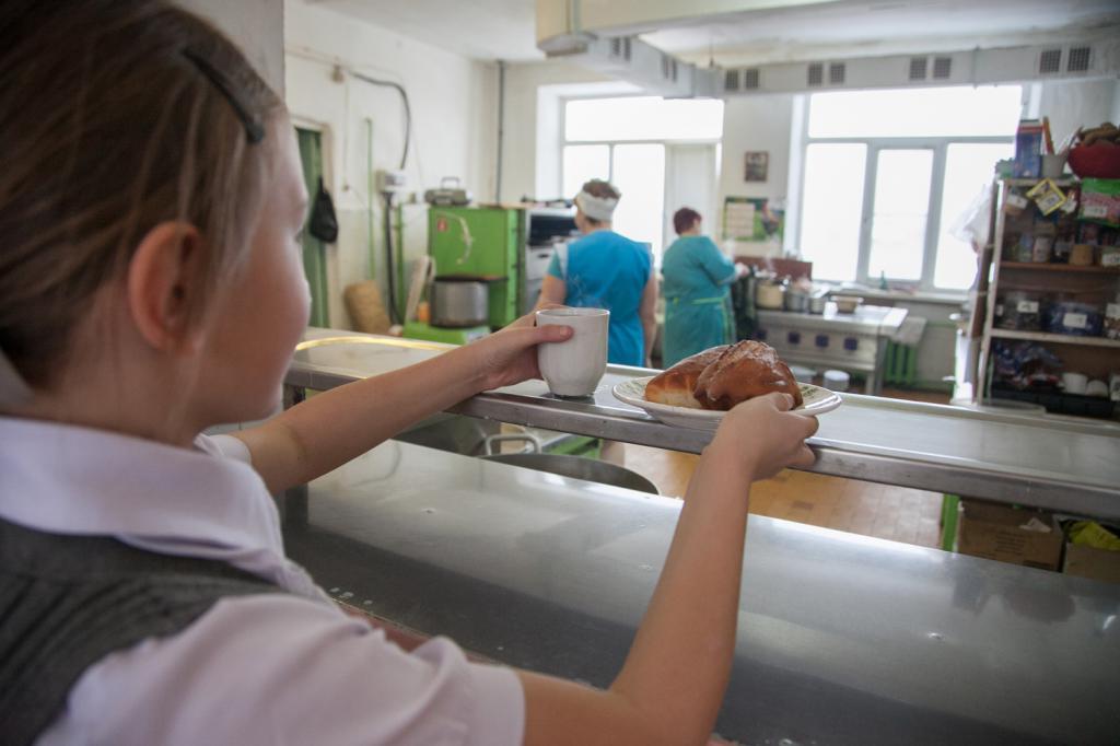 Шведский стол, иллюстрации блюд в электронном дневнике и участие родителей в закупке продуктов: в России планируют менять систему школьного питания