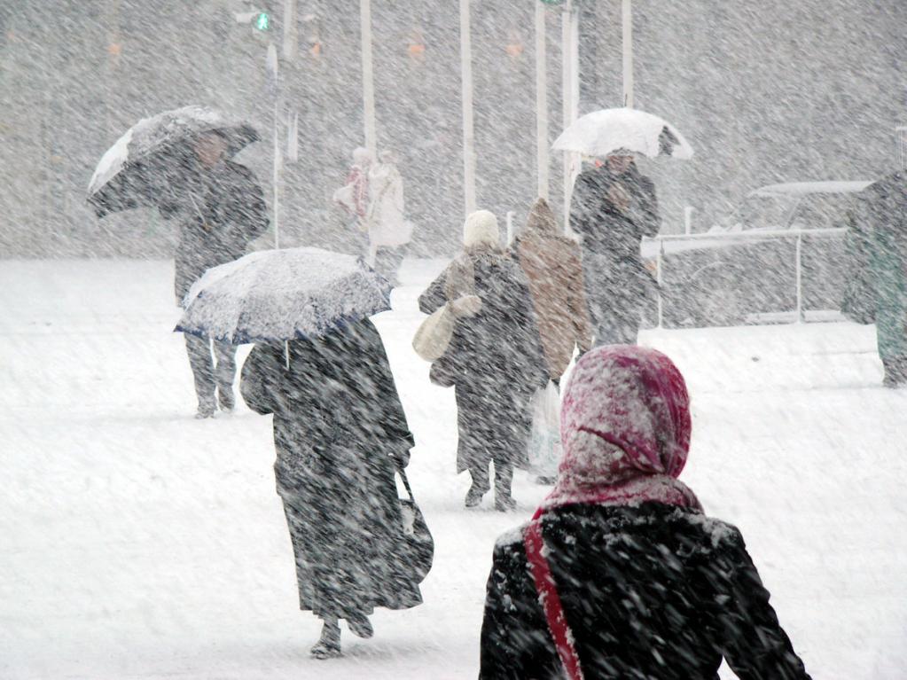 "Холодно, сыро, ветрено и на душе не очень весело": россиянам рассказали о причинах роста вирусных заболеваний весной