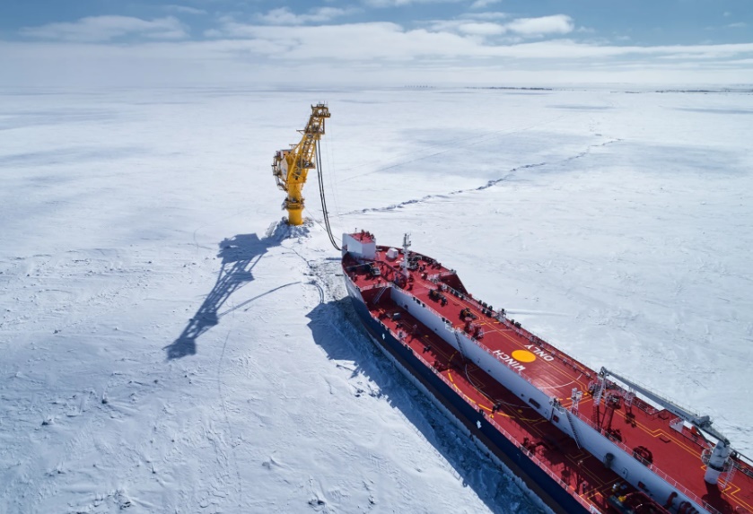 Не только золото, углеводороды и урановые руды: ученые рассказали о главном богатстве Арктики