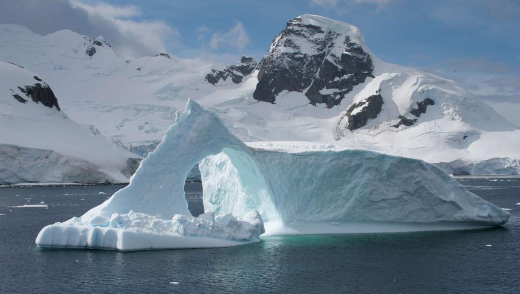 Не только золото, углеводороды и урановые руды: ученые рассказали о главном богатстве Арктики