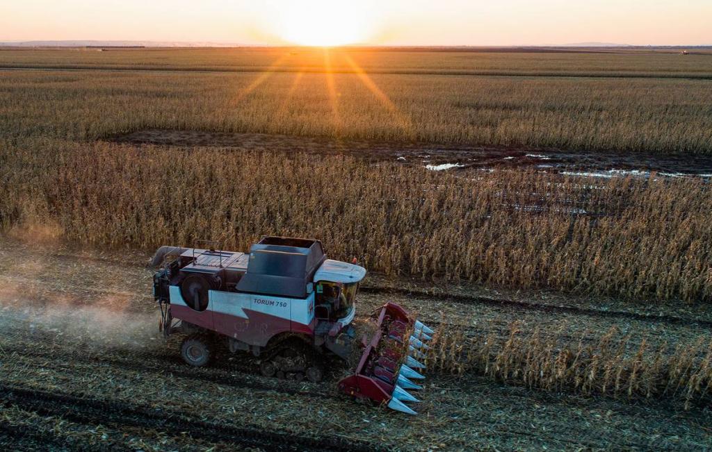 Сельское хозяйство: новая глобальная угроза, которая стоит перед Россией