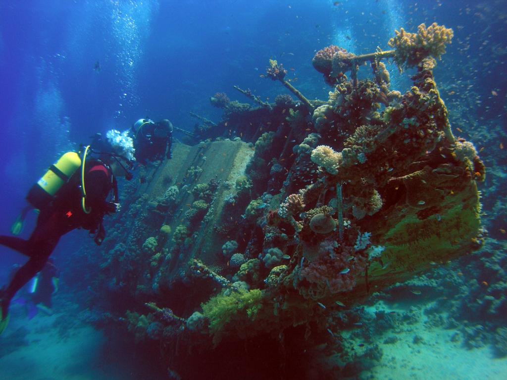Министерство культуры Греции разрешило туристам, увлекающимся подводным плаванием, посещать затонувшие корабли и самолеты