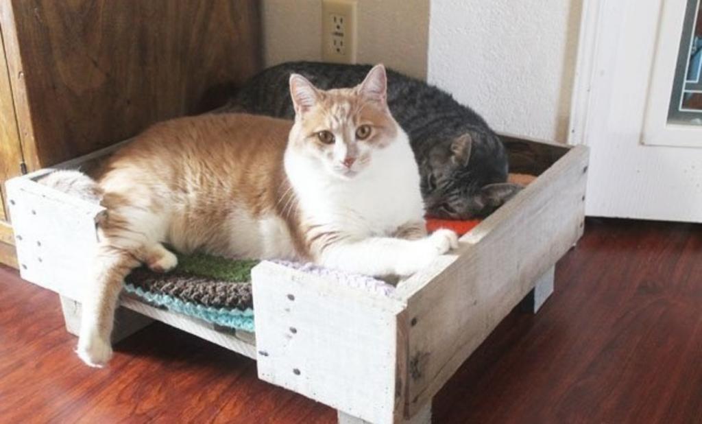 Как из старого поддона легко сделать кошачью кровать. Она прочная, просторная и очень удобная