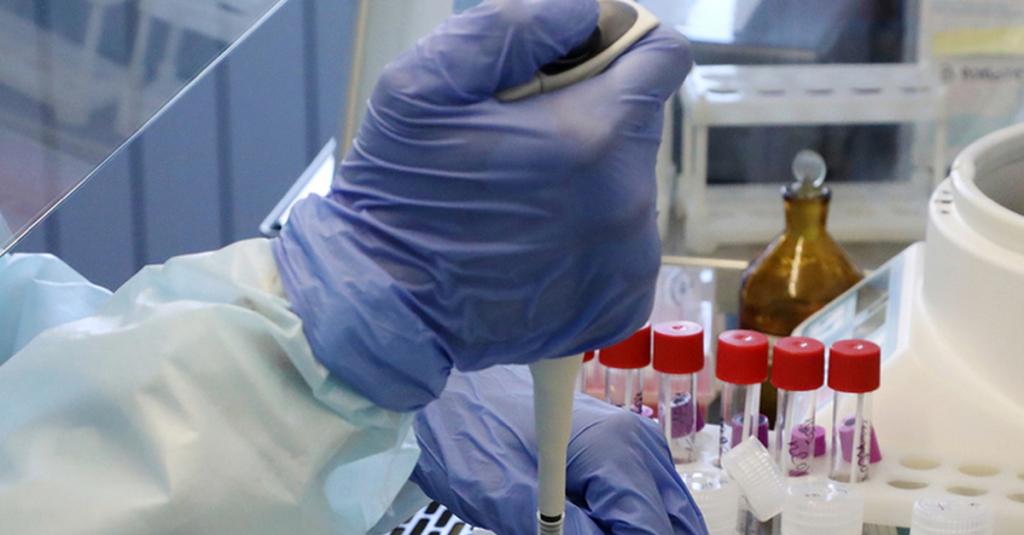 Доклинические испытания на приматах двух новых вакцин от коронавируса проведены в Сочи. Успех позволит провести тесты препарата уже на людях