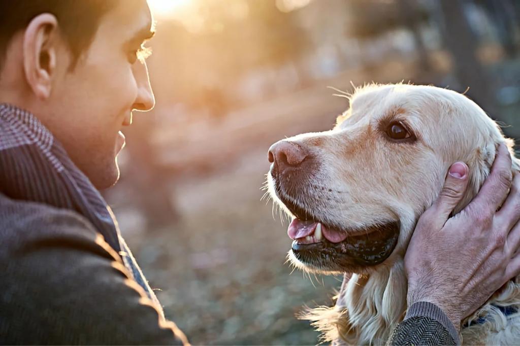 Ученые выяснили, способны ли собаки ревновать, если их хозяин уделяет внимание другому псу