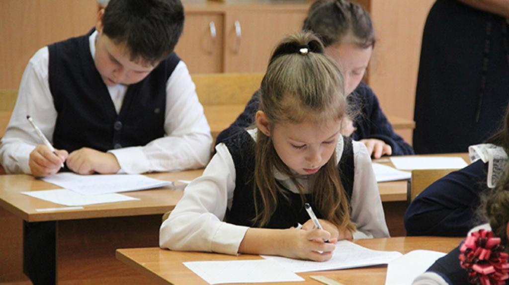 Родители российских школьников рассказали о тратах на репетиторов: чем старше ребенок, тем больше средств уходит на обучение