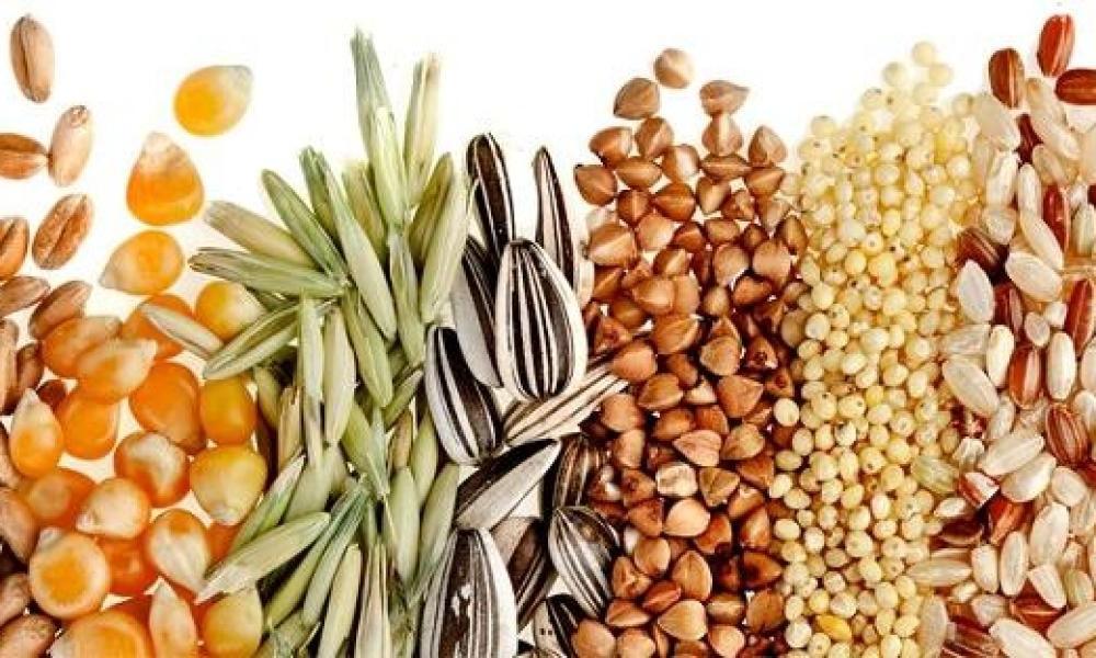 Соевые бобы, масличные культуры и зерно: россиянам названы самые быстро дорожающие продукты питания