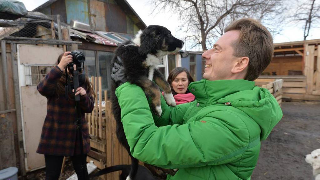 Собачку не отдам: в России приняли закон о запрете изымать домашних животных за долги