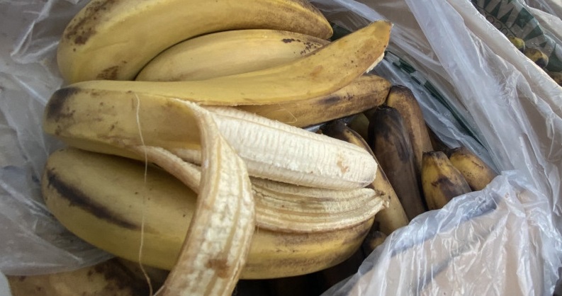 Самый распространенный сорт бананов на грани исчезновения. Всему виной почвенный грибок