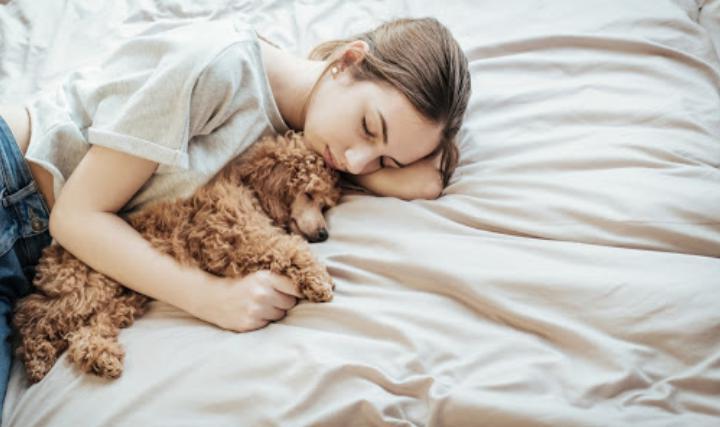 Женщины так лучше высыпаются: почему не стоит препятствовать собакам спать с хозяевами