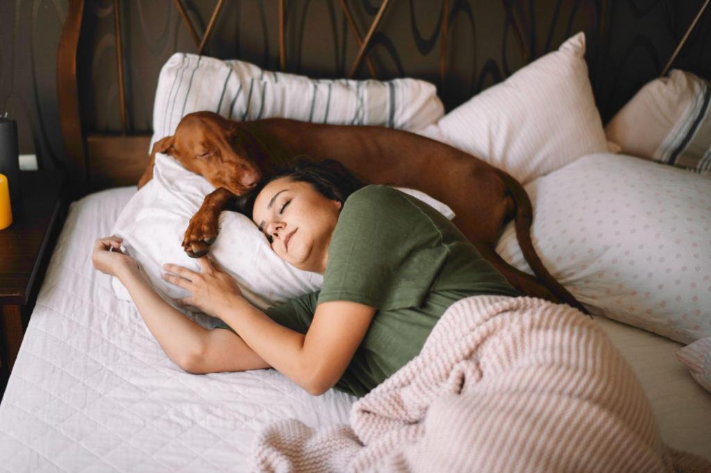 Женщины так лучше высыпаются: почему не стоит препятствовать собакам спать с хозяевами