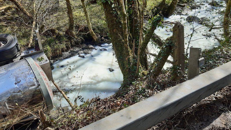 Молочные реки, кисельные берега: в Великобритании из-за аварии грузовика в реку пролилось молоко
