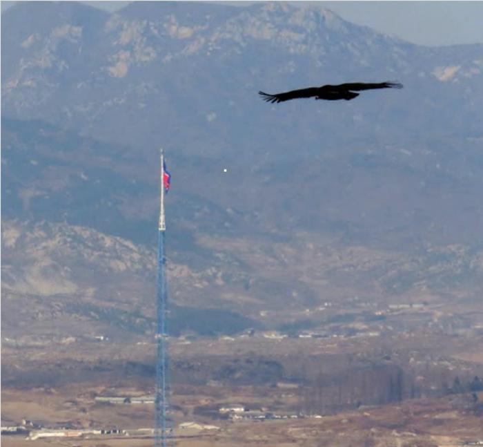 Пропагандистская деревня Киджонг-тонг, символизирующая достаток жителей Северной Кореи, на самом деле город-призрак