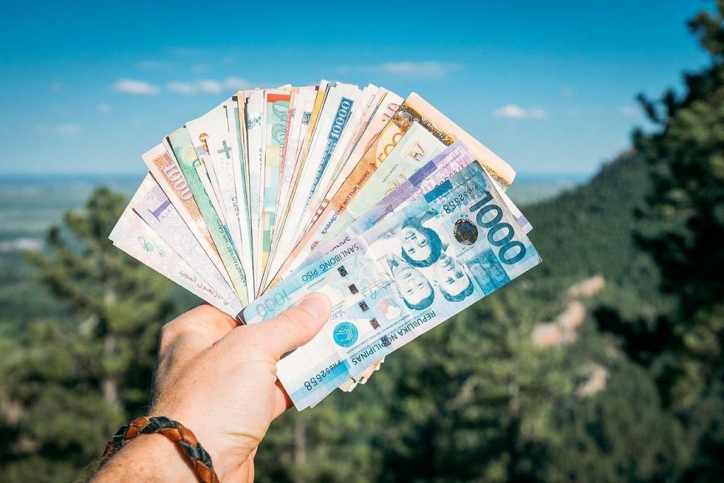 Россияне, купившие полисы страхования для путешествия в Турцию и Танзанию, из-за ограничения авиасообщения получат свои деньги обратно