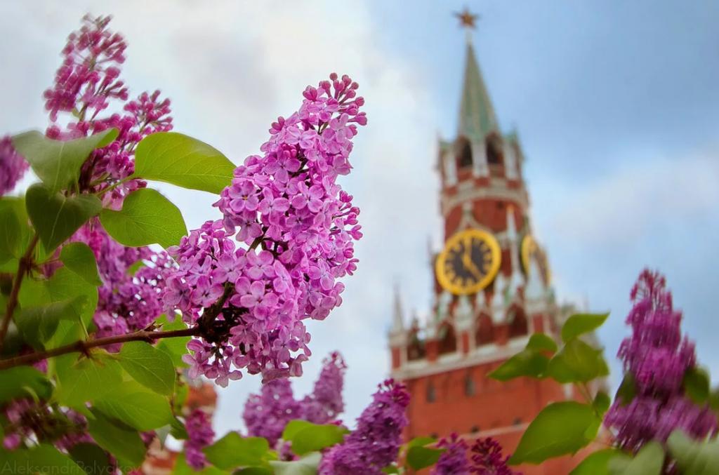 Синоптики обещают россиянам комфортную погоду в мае