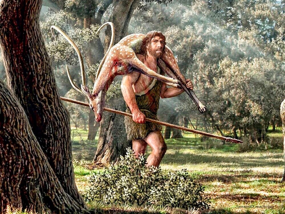 Мужчины работали с деревом, женщины - со шкурами животных: ученые узнали, как разделялся быт у древних людей в зависимости от пола