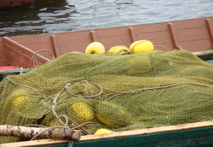 Платные рыболовные участки отменяются: вступили в силу новые правила любительской рыбалки